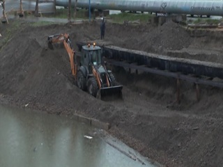 Построили плотину: в Красноярске бобры помешали прочистке трубы
