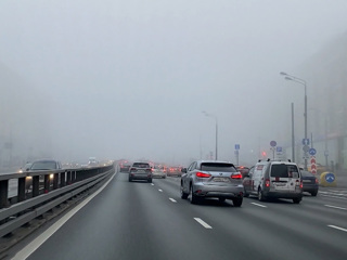 Москву в ночь на 29 января накроет туман