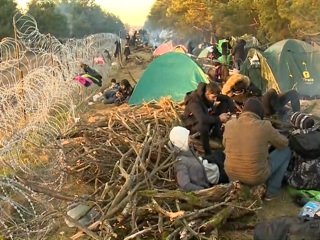 Гостеприимство по-польски, или Миграционный кризис на границе с Белоруссией