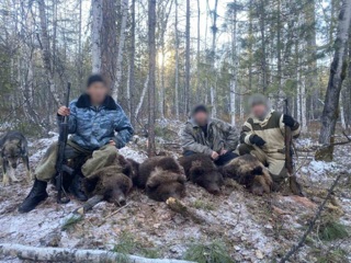 Охотники под Иркутском разорили берлогу, убив медведицу с медвежатами