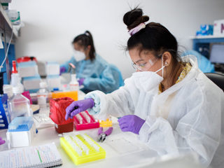 Европа ищет омикрон: создатель AstraZeneca не прогнозирует новую волну