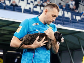 Футболисты "Зенита" на матч с "Ростовом" вышли со щенками из приютов