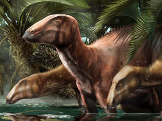Множество хорошо сохранившихся скелетов динозавров обнаружены в Италии