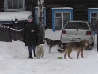 Что случилось в анжеро судженске. Смотреть фото Что случилось в анжеро судженске. Смотреть картинку Что случилось в анжеро судженске. Картинка про Что случилось в анжеро судженске. Фото Что случилось в анжеро судженске
