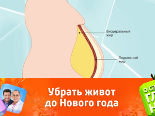 Советы После Нового Года