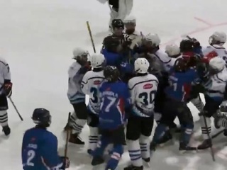 Хоккейный турнир в Тольятти закончился массовой дракой детей
