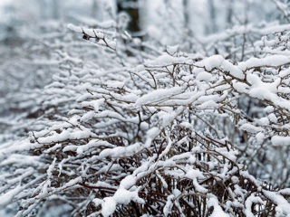 Тридцатиградусные морозы и снегопады придут в Тверскую область