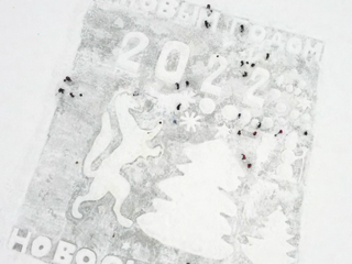 Жители Новосибирска нарисовали на льду огромную открытку