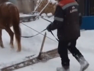 Житель Башкирии запряг лошадь, чтобы почистить снег