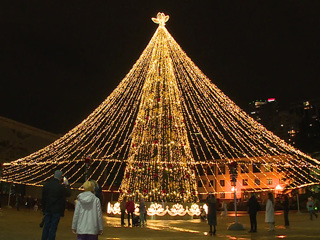 Главную елку в Сочи украшают более 100 тысяч светодиодов