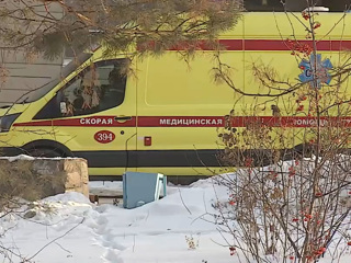 В Новгородской области возбудили дело после гибели ребенка с дедом при пожаре