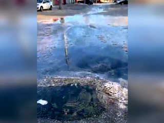 Воронежцы пожаловались на канализационный потоп