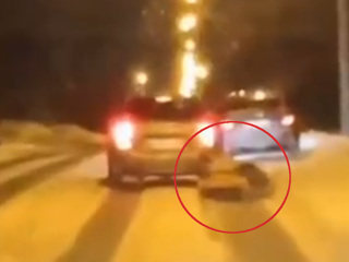 Видеоролик, снятый на дороге Тольятти, изучает полиция