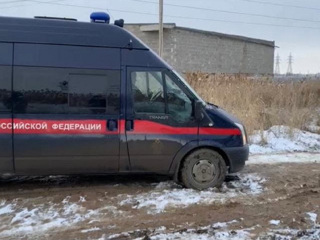 Стая бродячих собак насмерть загрызла мужчину по Астраханью