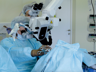 Первый российский имплантат для электронного зрения установлен обезьяне