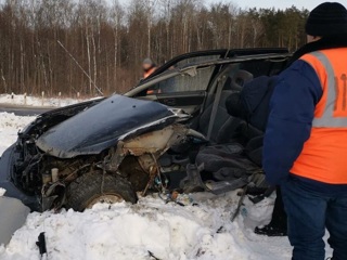 Локомотив убил спешившего водителя в Брянской области