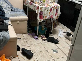 Двух истощенных младенцев нашли в квартире на востоке Москвы