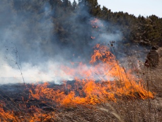 В Хакасии объявлен режим ЧС в связи с природными пожарами