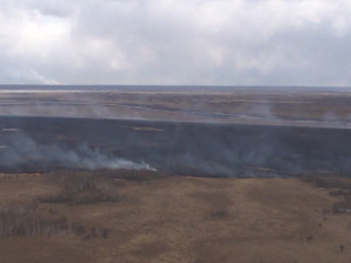 В Хабаровском крае зафиксировано 20 природных пожаров