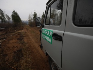 В Иркутской области за сутки ликвидировали лесные пожары на 444 га