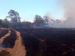 На окраине Череповца выгорело 40 га сухой травы