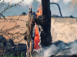 Огненная опасность: в Курганской области введен режим ЧС