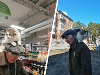 Пенсионер в Красноярском крае ходит с котом на голове