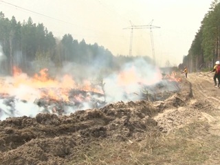 В Курганской области 700 человек тушат лесные пожары