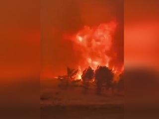 "Это Армагеддон": более 200 человек тушат лесной пожар под Красноярском