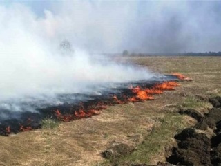 В Чувашии огонь уничтожил около 5 га сухой травы