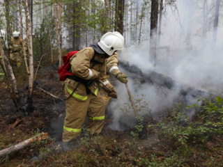 За сутки в России потушено 184 природных пожара