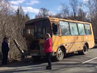 На Урале школьный автобус с детьми врезался в грузовик