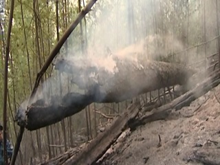 Пожар угрожает селу в Красноярском крае