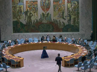 Франция поддерживает идею реформы Совбеза ООН