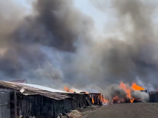 Пострадавшим от огня в Красноярском крае окажут помощь