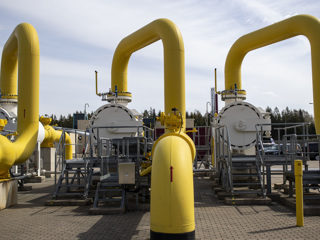Половина покупателей газа в ЕС открыла счета в рублях