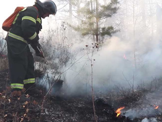 Минприроды: действующих лесных пожаров в Забайкалье нет