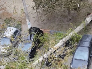 Сильный ветер повредил более 35 автомобилей в Москве