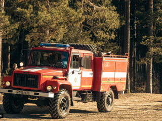 В Томской области потушили лесные пожары площадью более 600 га