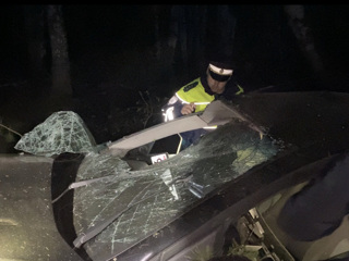 Под Екатеринбургом водитель иномарки слетел с трассы и погиб