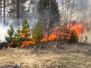 Ситуация с лесными пожарами может ухудшиться в трех федеральных округах