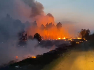 В Иркутской области локализованы два крупнейших лесных пожара