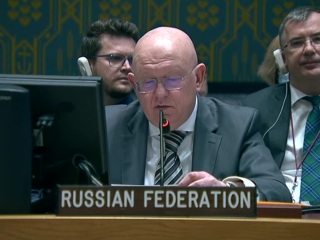 Небензя не стал слушать Мишеля