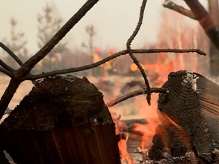 В Приангарье действует один лесной пожар