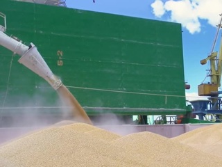 Лукашенко запретил вывоз зерновых