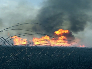 В Якутии обнаружен природный пожар площадью 25 га
