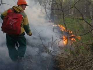 19 лесных пожаров зафиксировано на территории Якутии