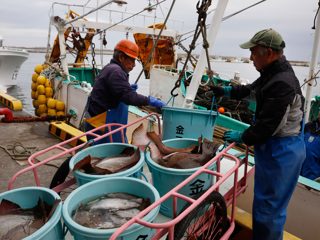 Санкции разоряют рыбопромышленность Японии