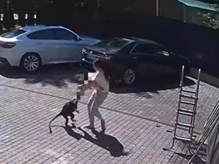 Омбудсмен: пострадавшая от нападения обезьяны девочка идет на поправку