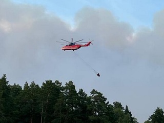 Площадь лесных пожаров в Рязанской области увеличилась вдвое